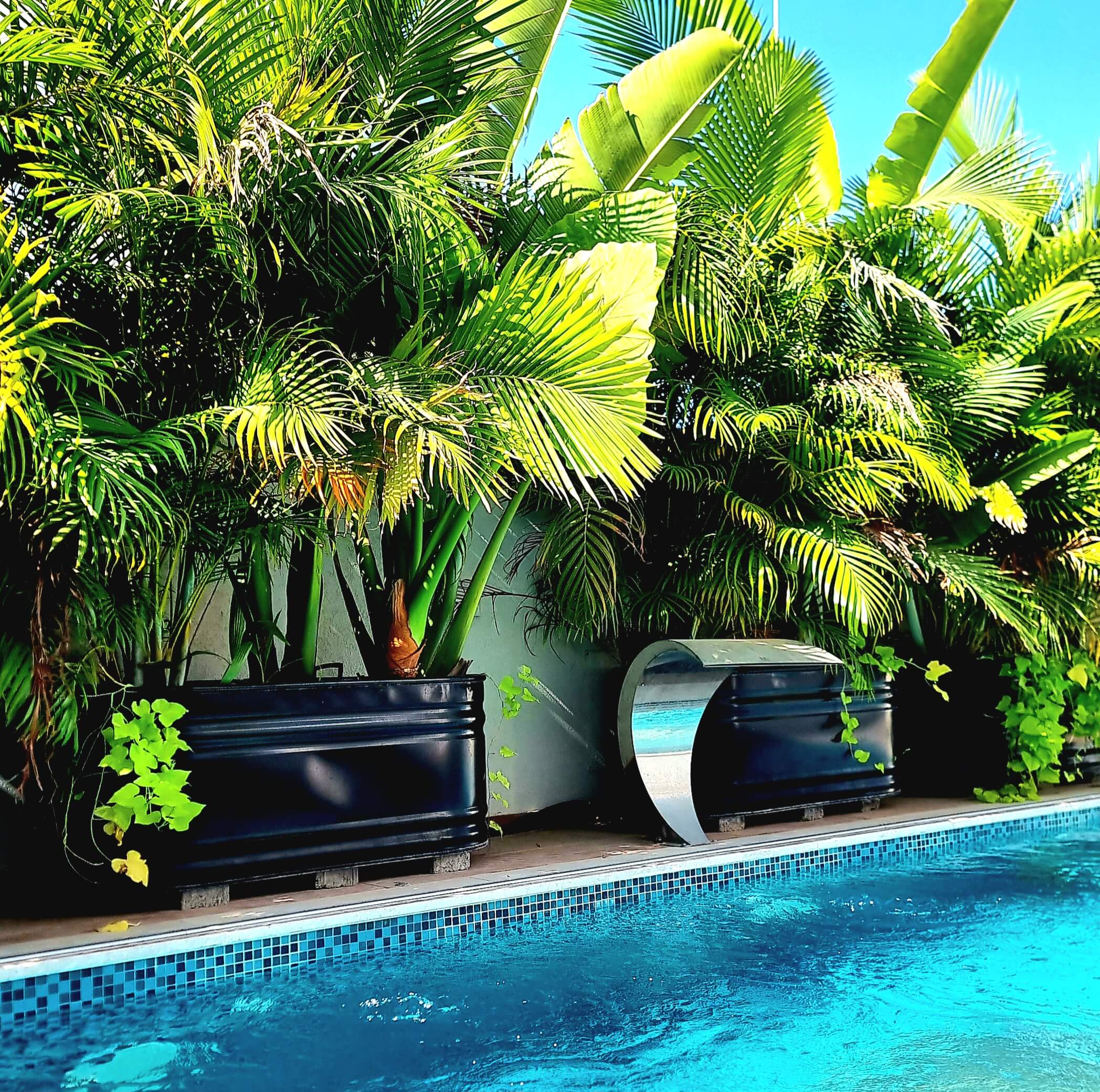 אדנית אובלית מברזל מגלוון מולטי טאנק ליד בריכה