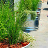 אדנית עגולה גדולה ברזל מגולוון מולטי טנק