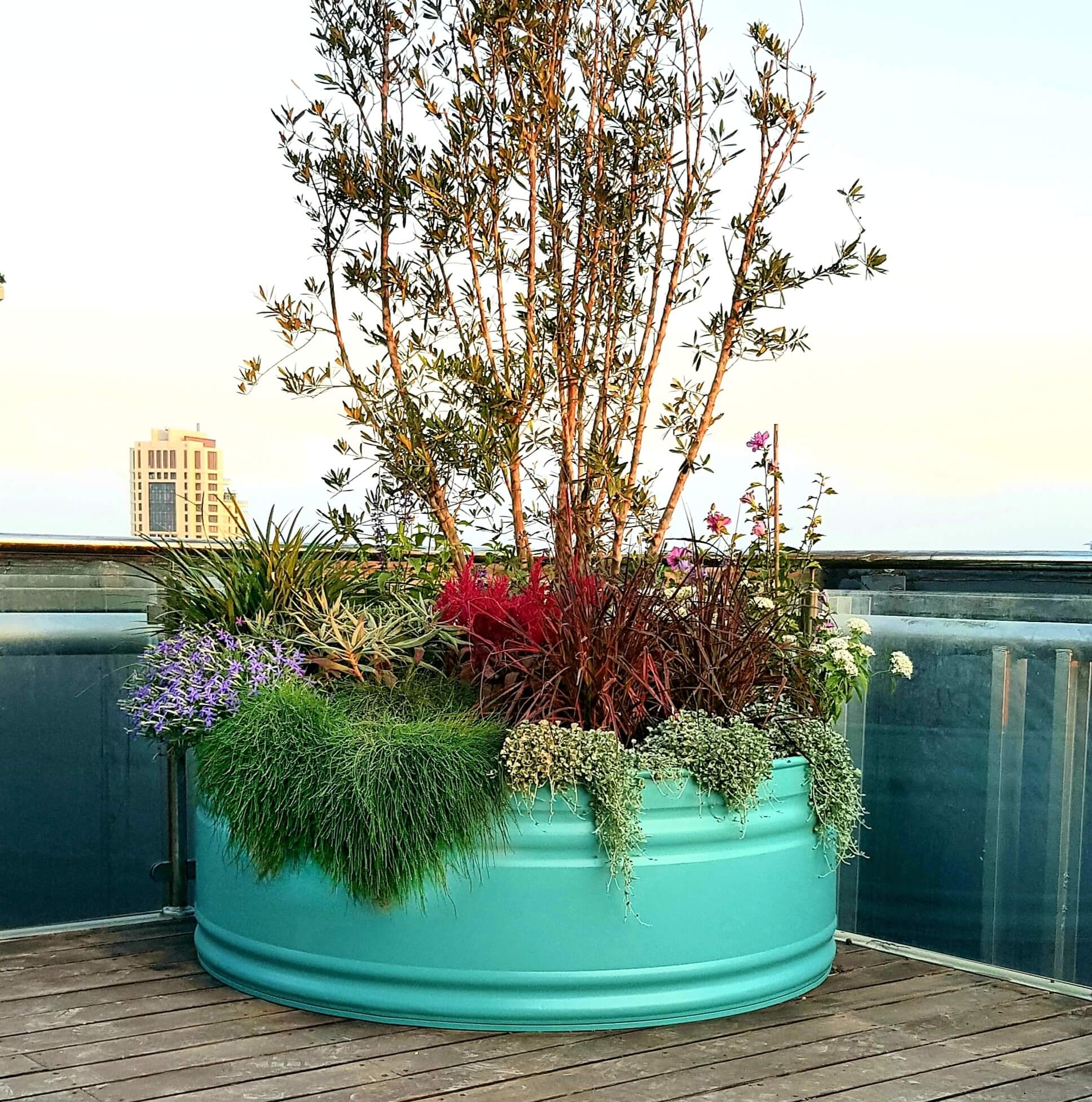 מיכל שתילה ענק מולטי טנק מברזל מגלוון