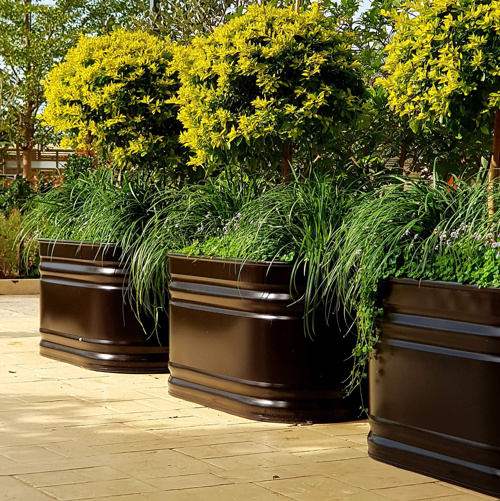 מיכלי שתילה אובלים גדולים מברזל מגלוון מולטי טאנק צבועים בשחור בבית פרטי