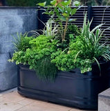 מיכל שתילה ברזל מגלוון אובלי מולטי טאנק שחור