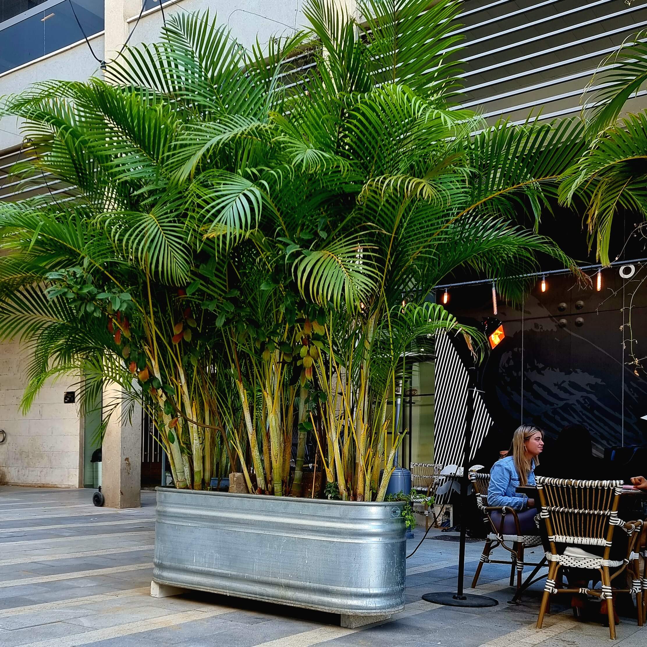 מיכל שתילה אובלי ברזל מגלוון מולטי טאנק