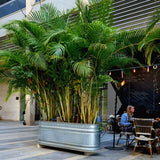 מיכל שתילה אובלי ברזל מגלוון מולטי טאנק