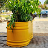 אדנית אובלית מולטי טנק מברזל מגלוון צבועה בצהוב