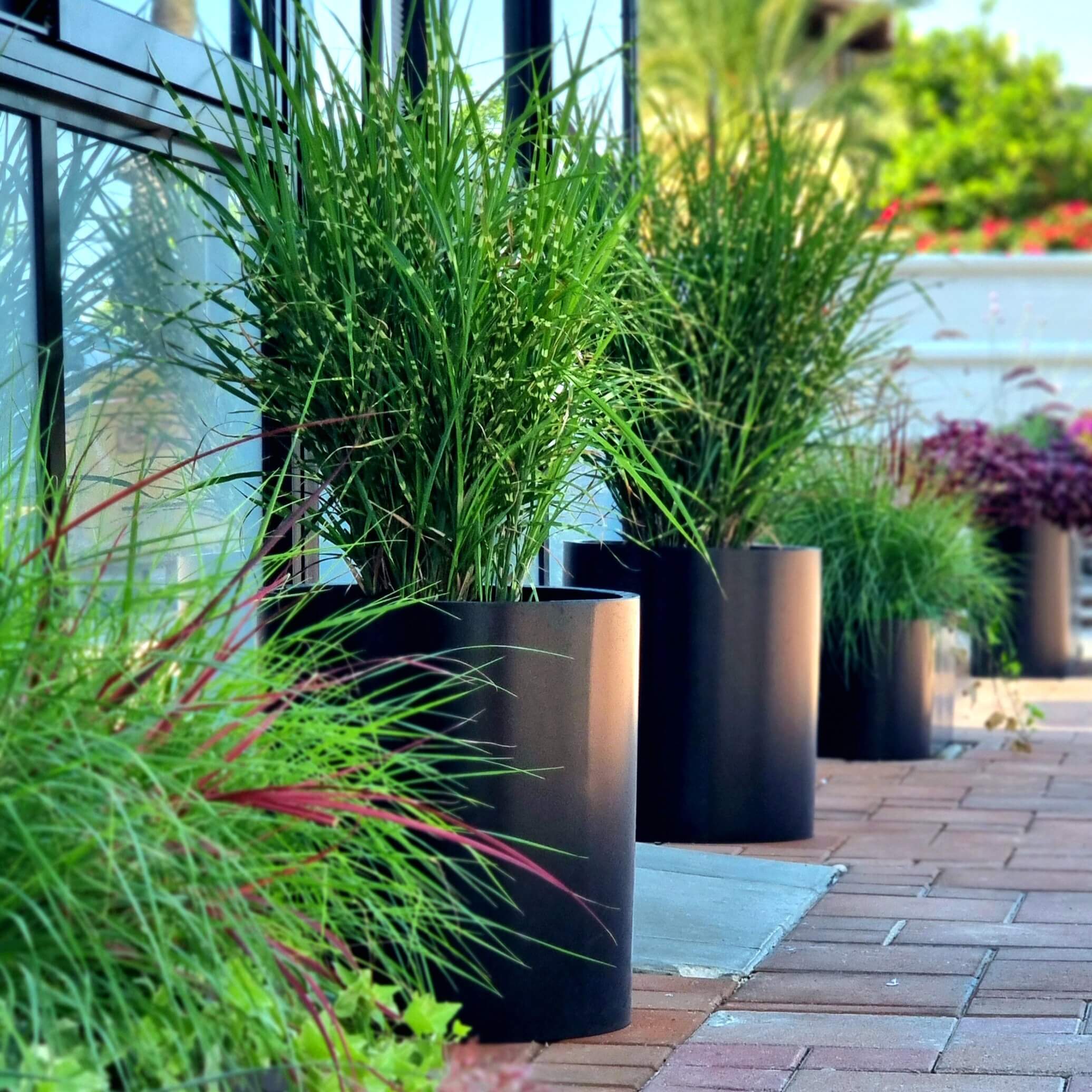 אדנית נירוסטה בלקוני עגולה 50 ס"מ גובה 50 ס"מ רוחב שחורה