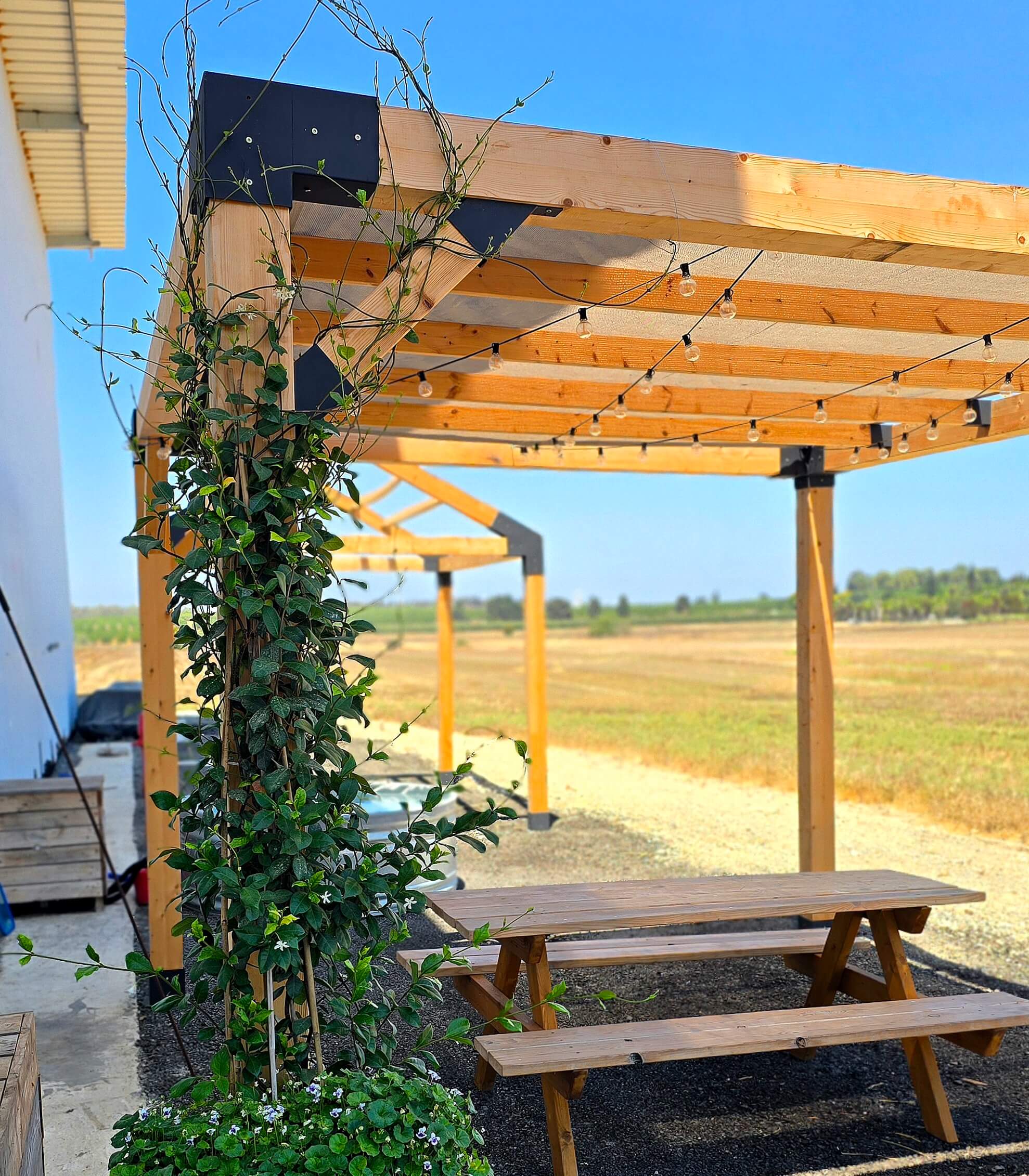 מולטי פרגולה 15/15 עם מטפס