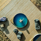 שכשוכית בקוטר 242 ס"מ במבט על