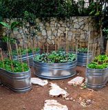 גינת ירק במיכלי ברזל מגלוון מולטי טאנק