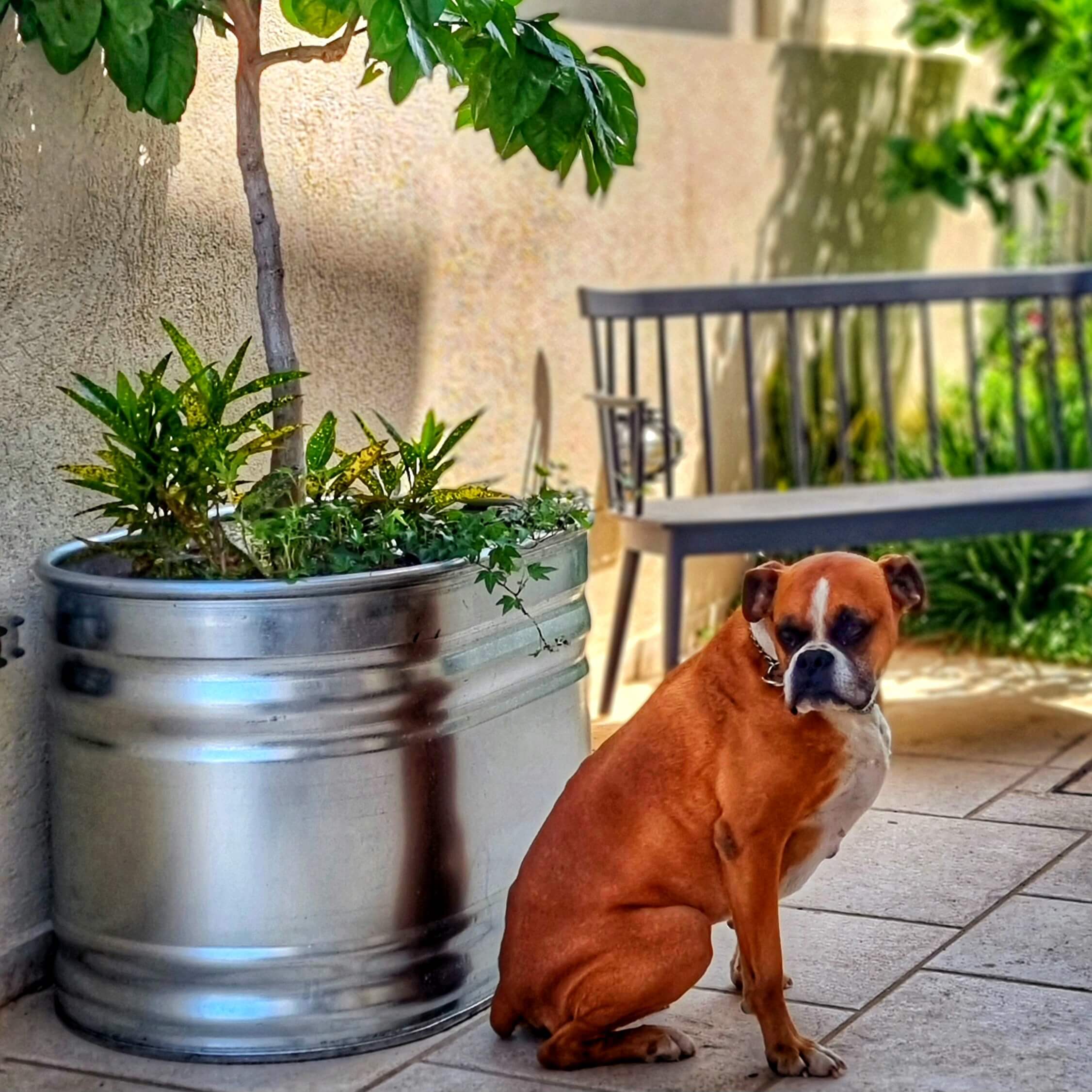 אדנית ברזל מגלוון אובלית מולטי טנק בבית פרטי